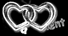 Le couple de l'ann�e
